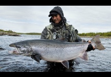 Atlantic salmon